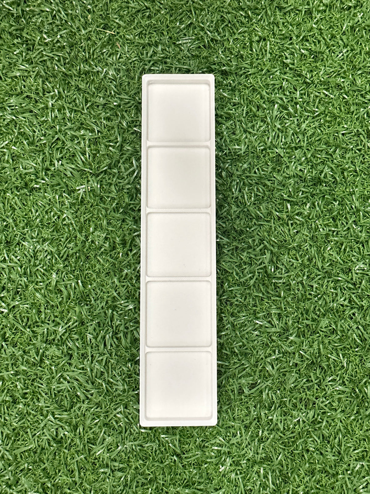Five-Frame Tray